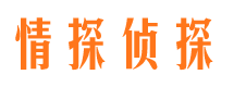 尼木侦探